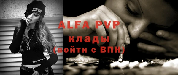 сатива Бородино