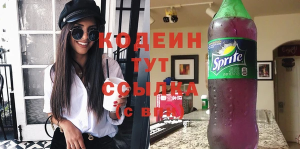 сатива Бородино