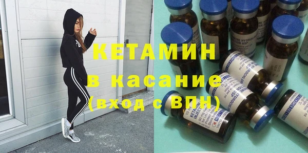 сатива Бородино
