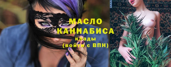 сатива Бородино