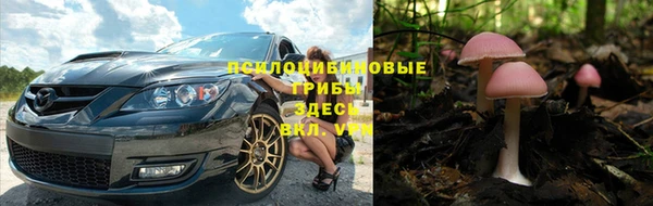 соль курить ск Верхний Тагил