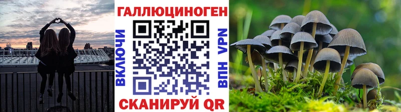 Псилоцибиновые грибы Psilocybe blacksprut ONION Сясьстрой