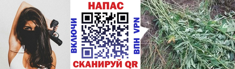 Каннабис AK-47  Сясьстрой 